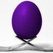 Striking the balance with whole brain leadership 
